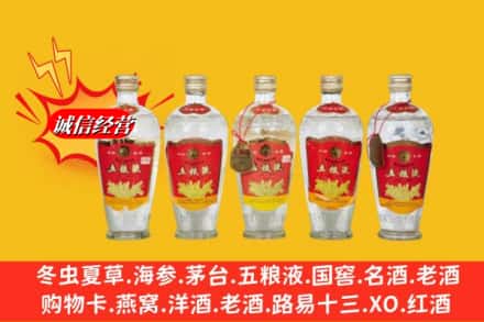汕头潮阳区回收老五粮液